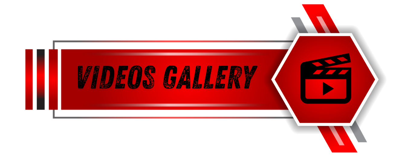 botongaleriavideo